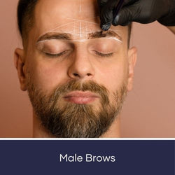 Male Brows - Advanced Course Online